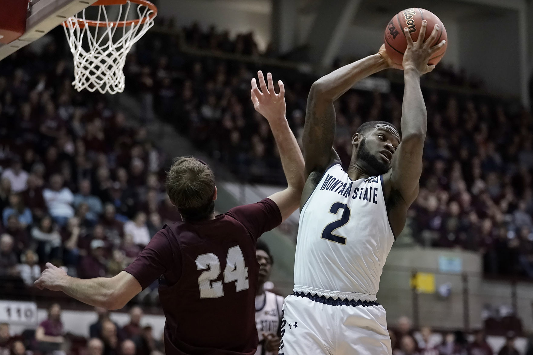Griz v Cats-16-tm.jpg